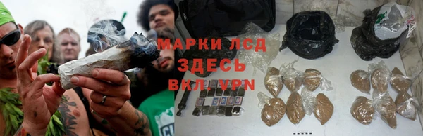 Альфа ПВП Михайловск