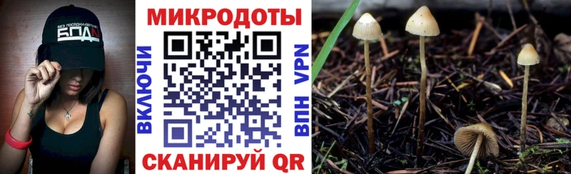 Галлюциногенные грибы Cubensis  Купить где  Новоалтайск 